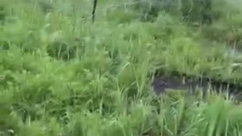 Polish Soldiers Defending Their Border from the death cult