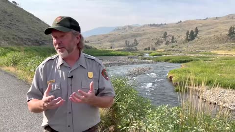 Yellow Stone Fish Management