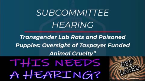 Ready To Hear Stupid Arguments About Lab Rats?