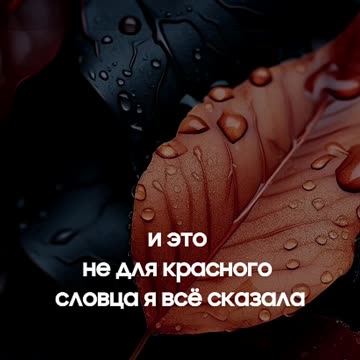 ТРЕНИРУЙТЕ СВОЙ МОЗГ #shorts #tompitai #томпитай