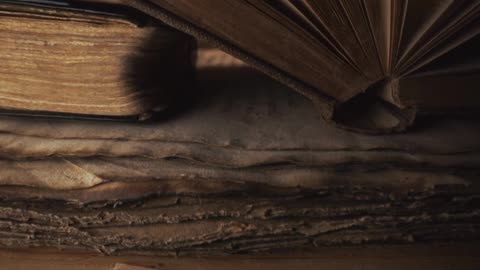 Detecting Lies - literary analysis