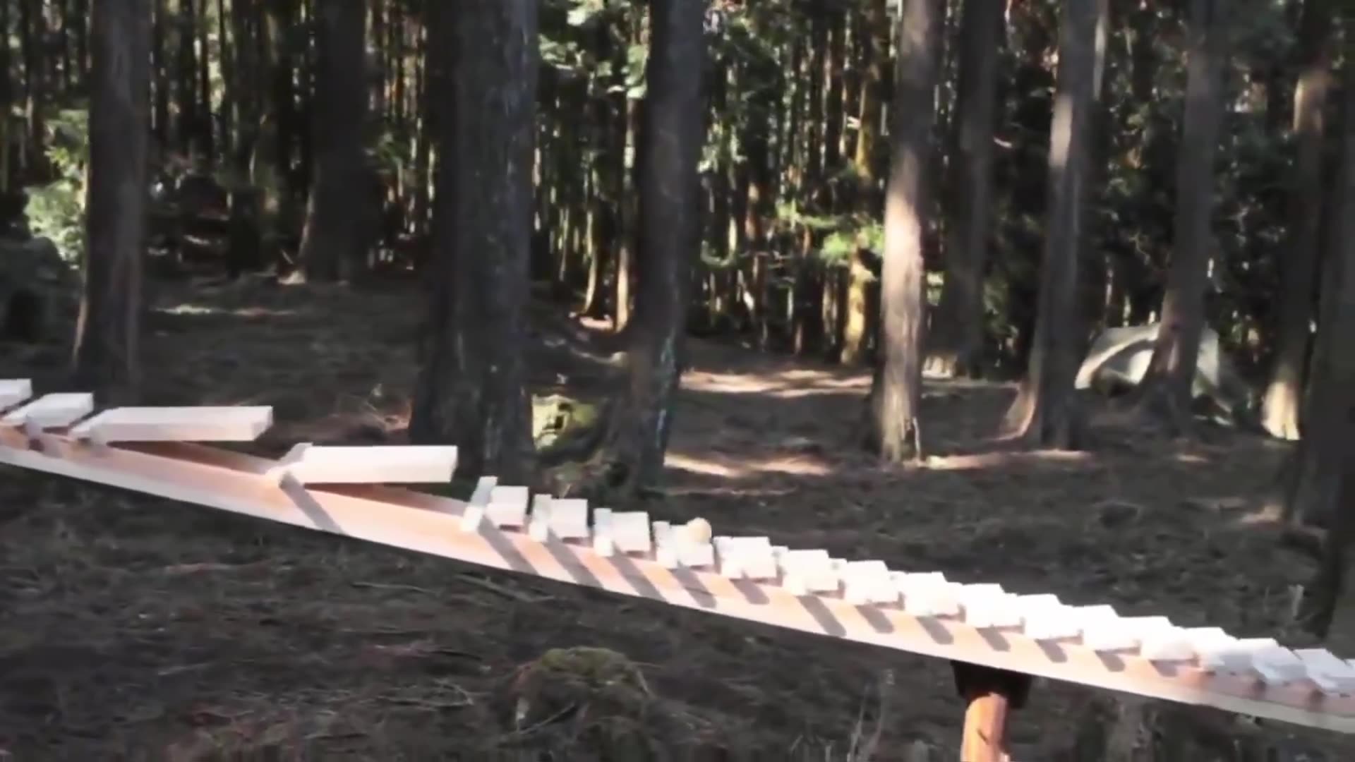 Interesting - The sound of a giant xylophone in a tranquil forest