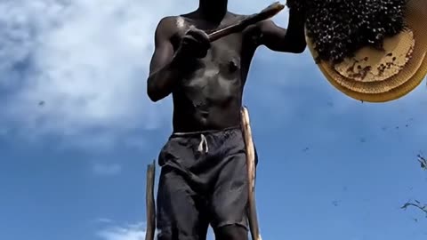 Stick Walking man Honey