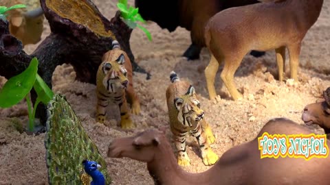 Crocodile Stalks Zebra that is Stuck in Mud in the Forest