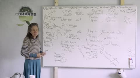 Barbara O'Neil - #28 A Journey / Gastronomical Tract Pt 2