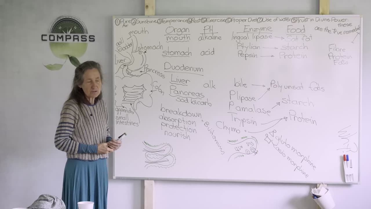 Barbara O'Neil - #28 A Journey / Gastronomical Tract Pt 2