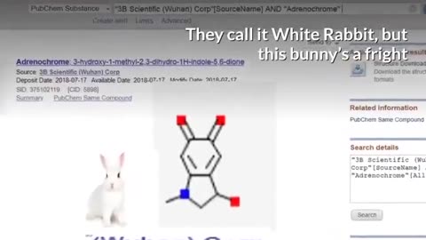 Human Trafficking...