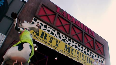 "Ojitos Negros Encantadores" (Las Jilguerillas)