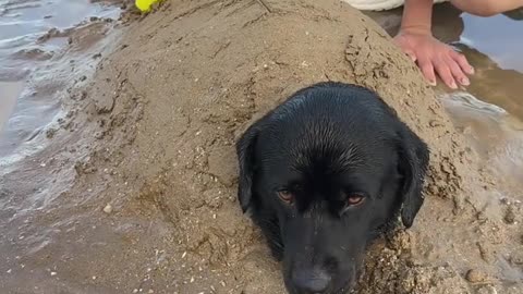 Fanny video