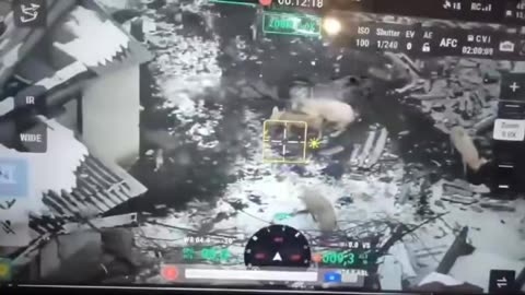 When The Farm is Ran by the Animals