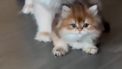 The universal reaction to being forced to socialize by your mother