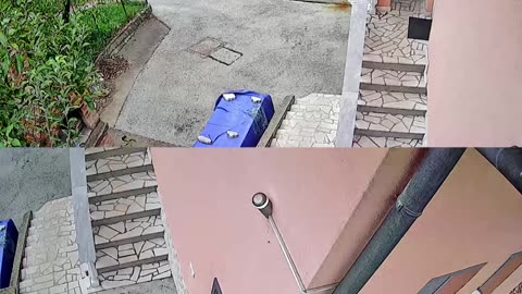 😱👀 You Won't Believe What This Security Camera Captured! Strange Shadow | TheHauntingHour