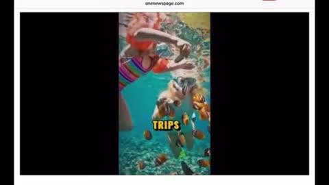 Epstein and Disney ..