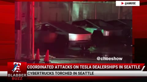 Coordinated Attacks On Tesla Dealerships In Seattle