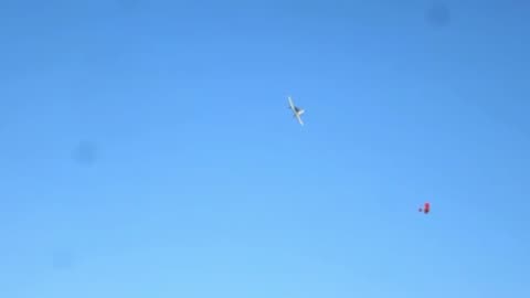 Flying Squirrel