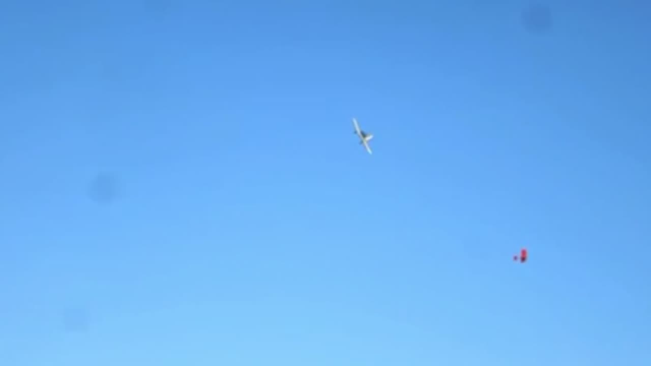 Flying Squirrel