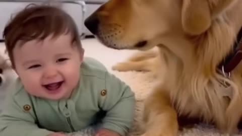 Cute Baby Playing with Animals | Adorable Baby and Pet Moments 2025