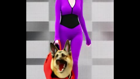 Miniature Guard Dogs? Fashionable, trendy. Every woman should carry one. #germanshepherd #doberman