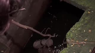 😂🥿 Wait For The Ending... Fallen Shoe Drain Rescue | FunFM