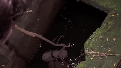 😂🥿 Wait For The Ending... Fallen Shoe Drain Rescue | FunFM