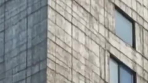 The Flower of Life, the Golden Ratio,