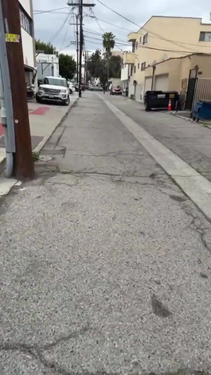 Dayenu! It Would Have Been Enough If Trump Had Only Crushed Illegal Immigration! (3-11-25)