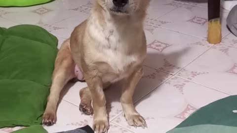 TỔNG HỢP MIN SAU MỔ