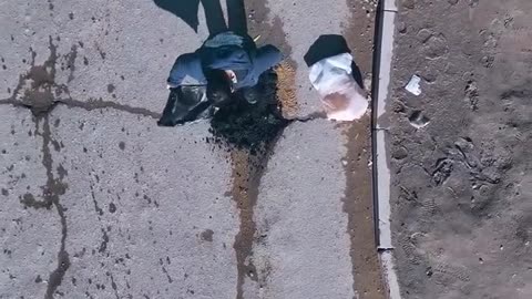 Man Fixes Pothole In Road