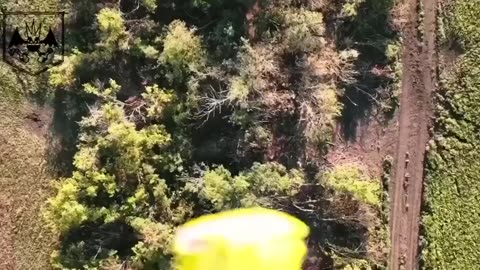 Footage of the daily work of a Ukrainian Army bomber drone operator