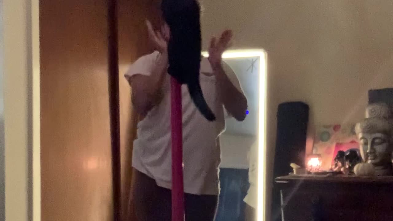 Pole Dancing Cat Steals the Show