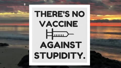 Who is gonna save our souls ? After the vax or shed kills you ?