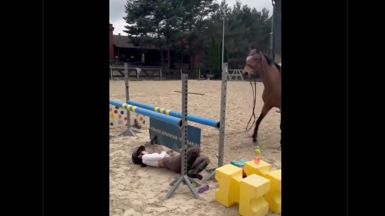 Timeline Cleanse • by DP • 10-15-2025