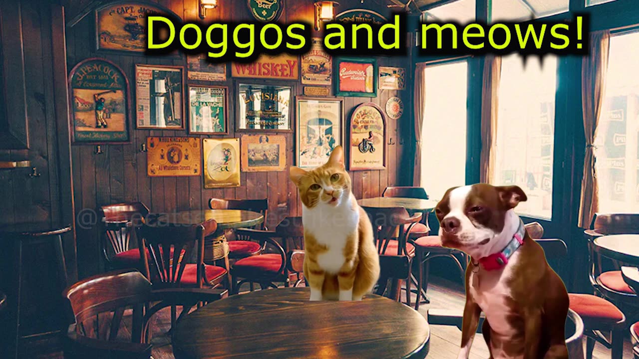 When Two Cats and Their Neighbor Try to Comfort a Sad Dog (Ep.54)