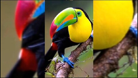 TESTING BUILDS ENDURANCE - DAILY DEVOTIONAL ❤️