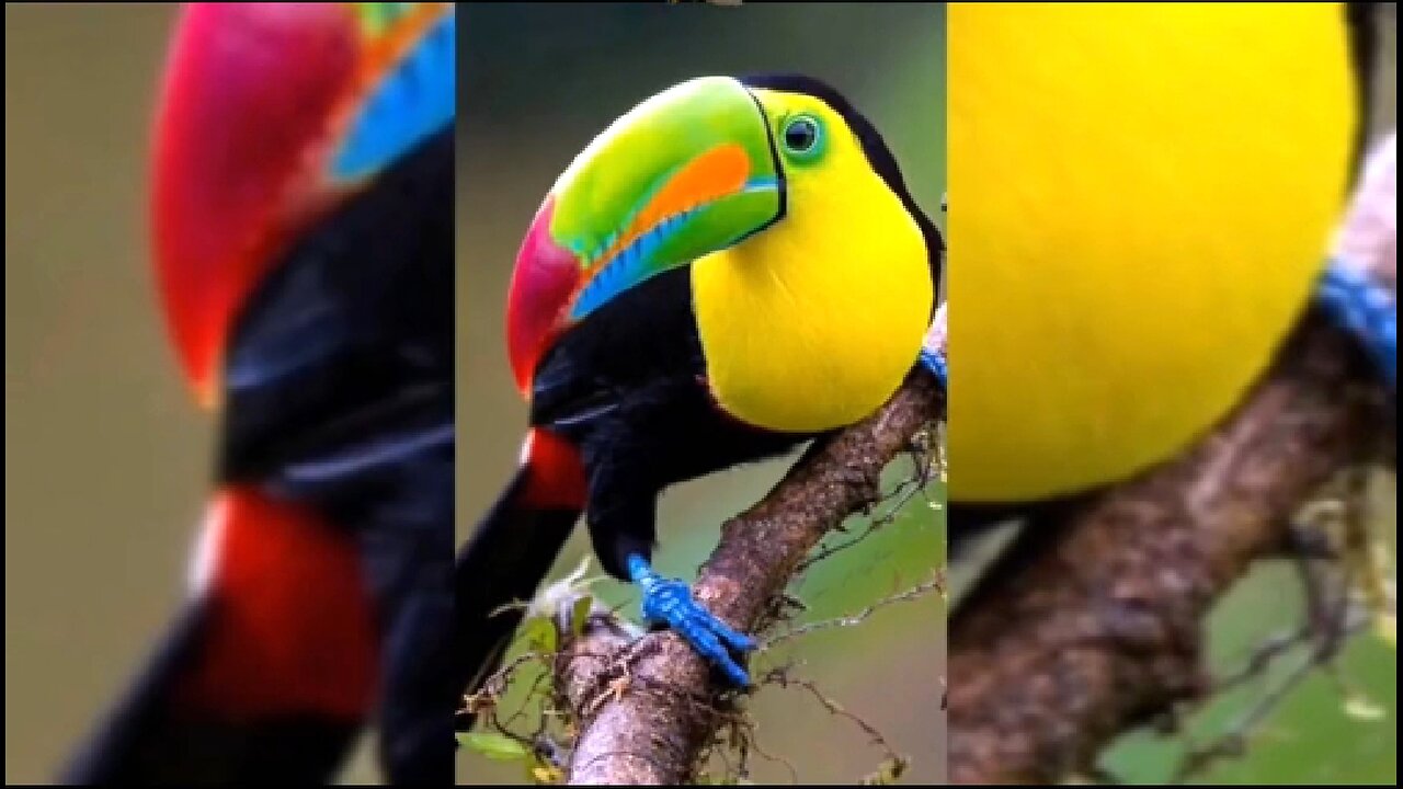 TESTING BUILDS ENDURANCE - DAILY DEVOTIONAL ❤️