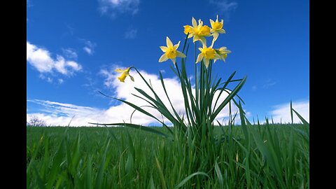 What Does the Bible say About Summer? Podcast