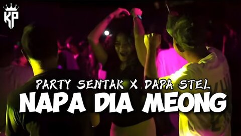 party sentak Dapa stel x Napa dia meong - vinbeatz
