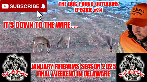 FINAL HUNT Of The ‘24-‘25 WHITETAIL DEER SEASON In DELAWARE!