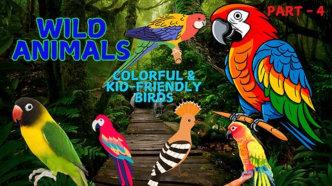 Wild Animals