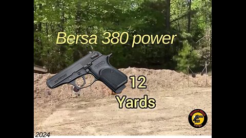 Bersa 380 and Ruger 10/22