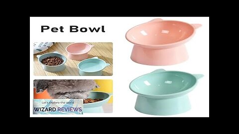 New Cat Bowl High Foot Dog Bowl 45°Neck Protector Cat Pet Food Review