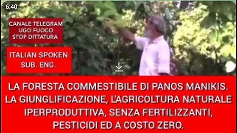 LA FORESTA COMMESTIBILE DI PANOS MANIKIS