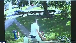 ILLEGAL ALIEN Caught as Part of a Sophisticated PORCH PIRATE RING in Suffolk County, NY,