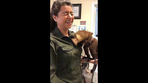 The_animals_🤣😂_#funnyanimals_#animalsfunny_#pets_#shorts)