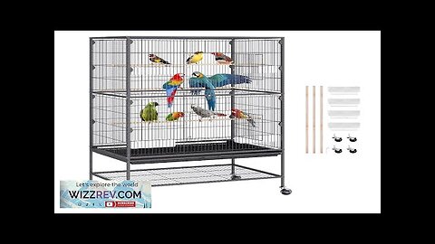 VEVOR 52 inch Standing Large Bird Cage Wrought Iron Flight Bird Cage Review