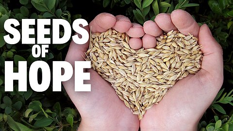 Seeds of Hope