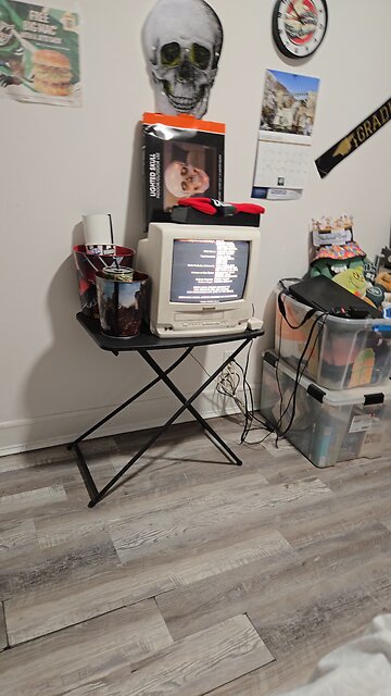 closing to the lion king