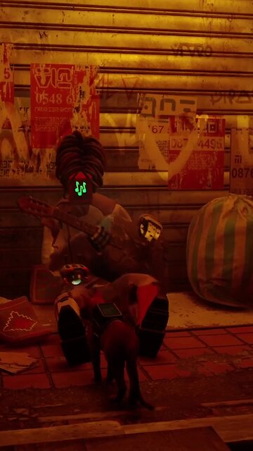 It's hard work being a cat