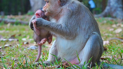 Poor Baby BABETTE Got Seri/ously Warning When Mom Not Wanna Touch Her