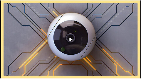 REESE REPORT - Algorithmic Pricing and the American Social Credit Score